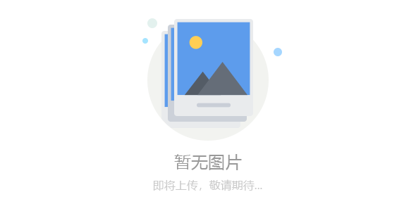  高精尖“交钥匙”工程为客户打造不一样的体验